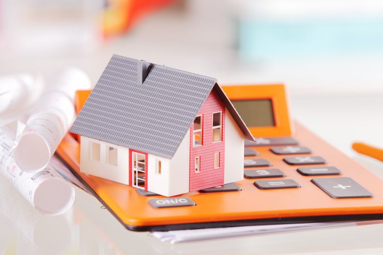 How much do our surveys cost and are they worth it?